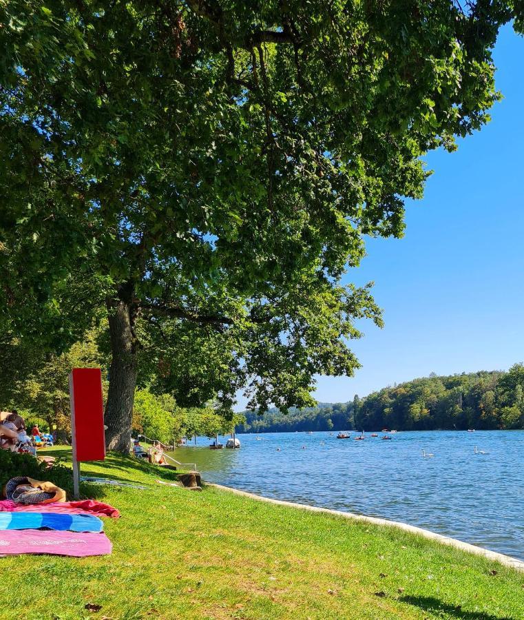 Ferienwohnung Rheinblick In Buesingen -Keine Monteure- Busingen Εξωτερικό φωτογραφία