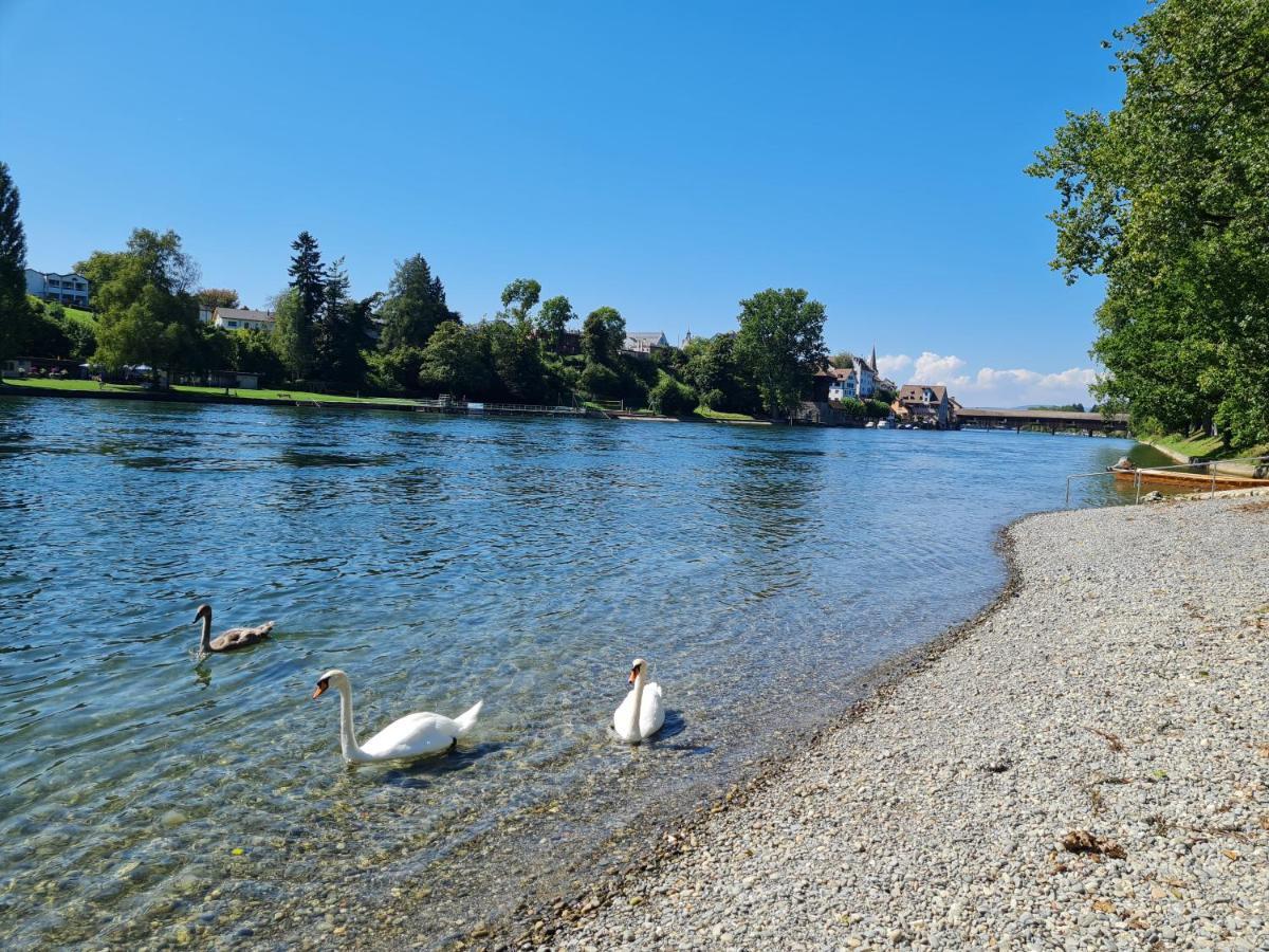 Ferienwohnung Rheinblick In Buesingen -Keine Monteure- Busingen Εξωτερικό φωτογραφία