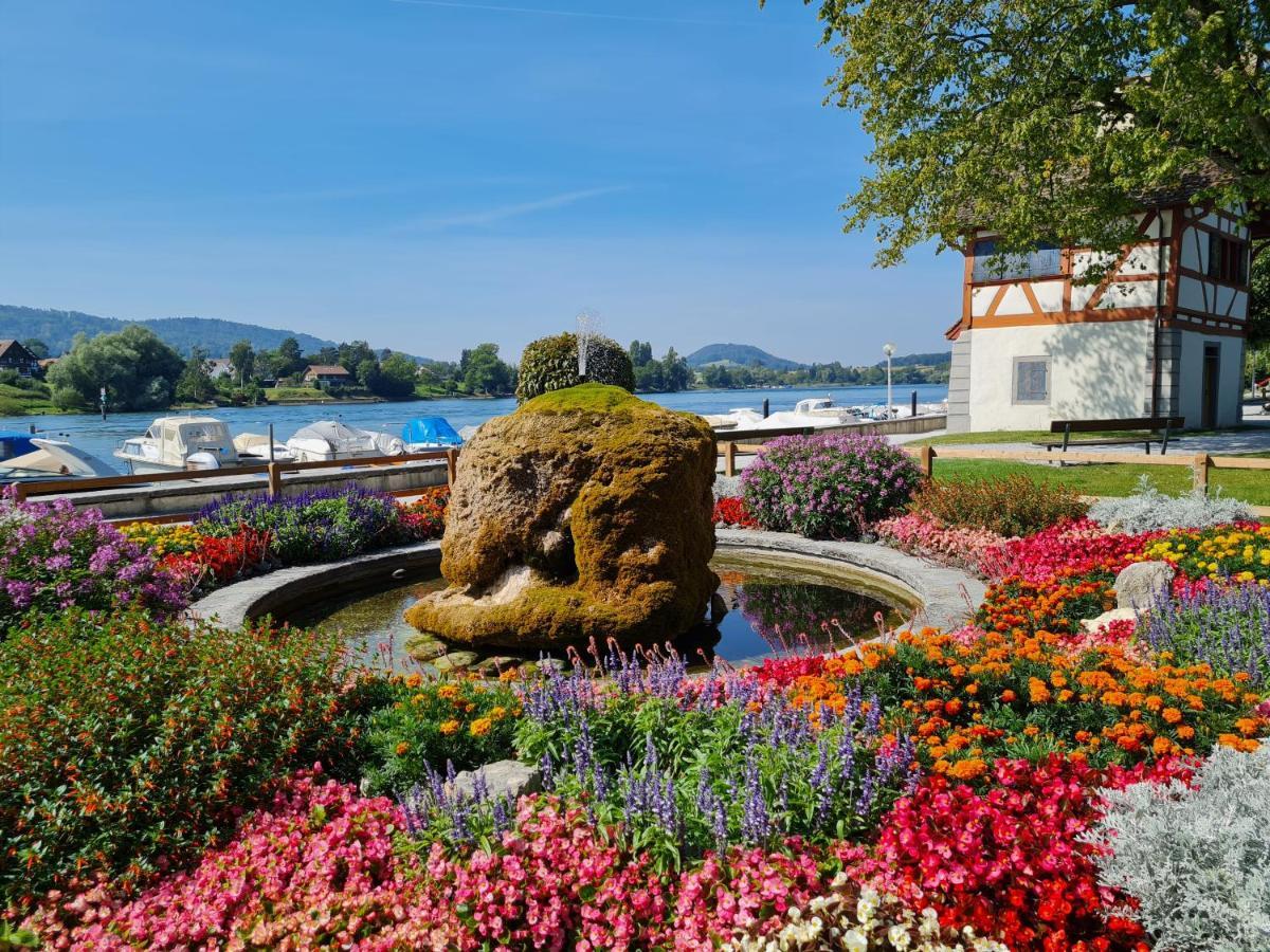 Ferienwohnung Rheinblick In Buesingen -Keine Monteure- Busingen Εξωτερικό φωτογραφία