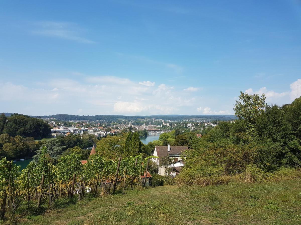Ferienwohnung Rheinblick In Buesingen -Keine Monteure- Busingen Εξωτερικό φωτογραφία