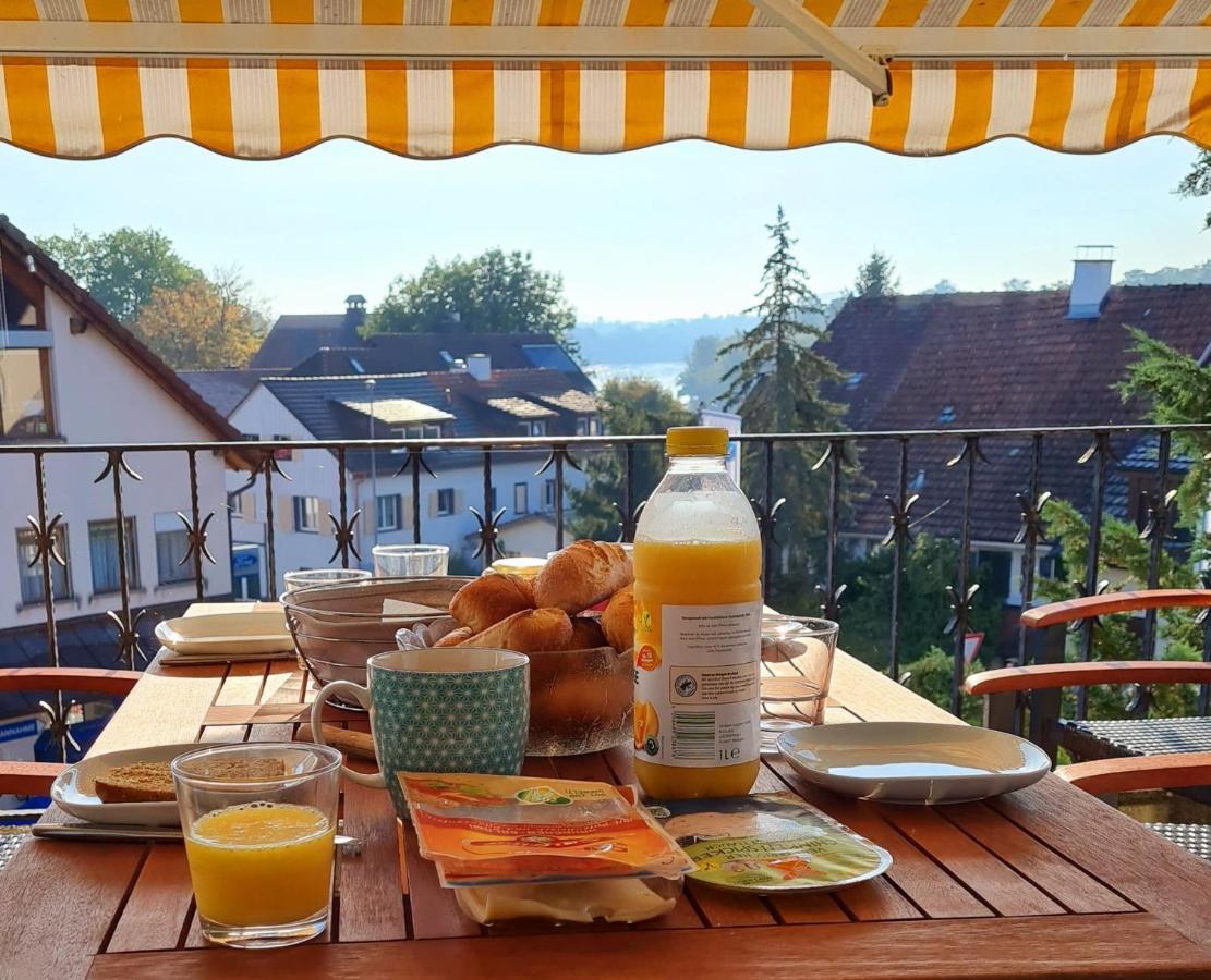 Ferienwohnung Rheinblick In Buesingen -Keine Monteure- Busingen Εξωτερικό φωτογραφία