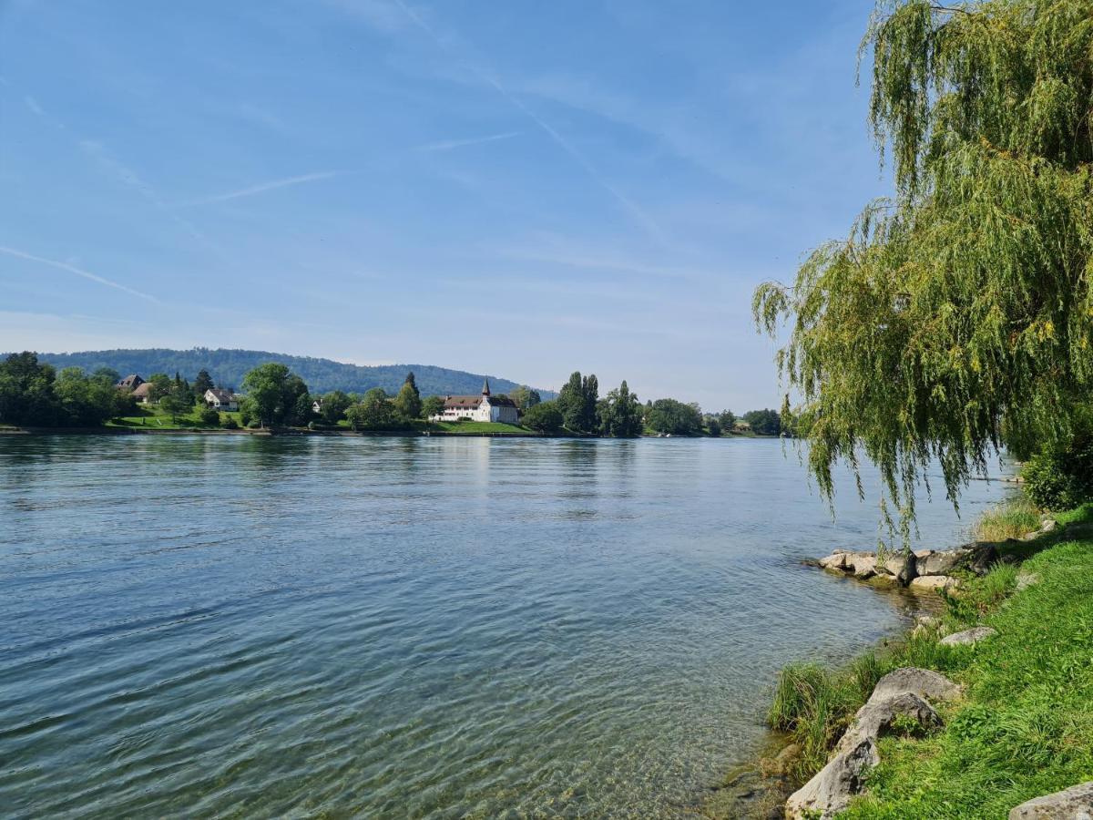 Ferienwohnung Rheinblick In Buesingen -Keine Monteure- Busingen Εξωτερικό φωτογραφία