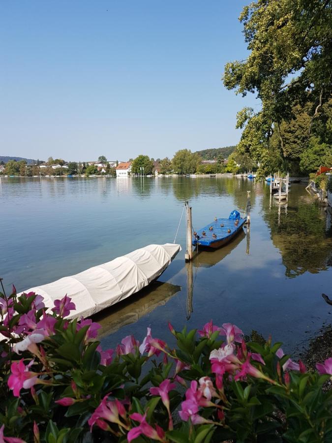 Ferienwohnung Rheinblick In Buesingen -Keine Monteure- Busingen Εξωτερικό φωτογραφία