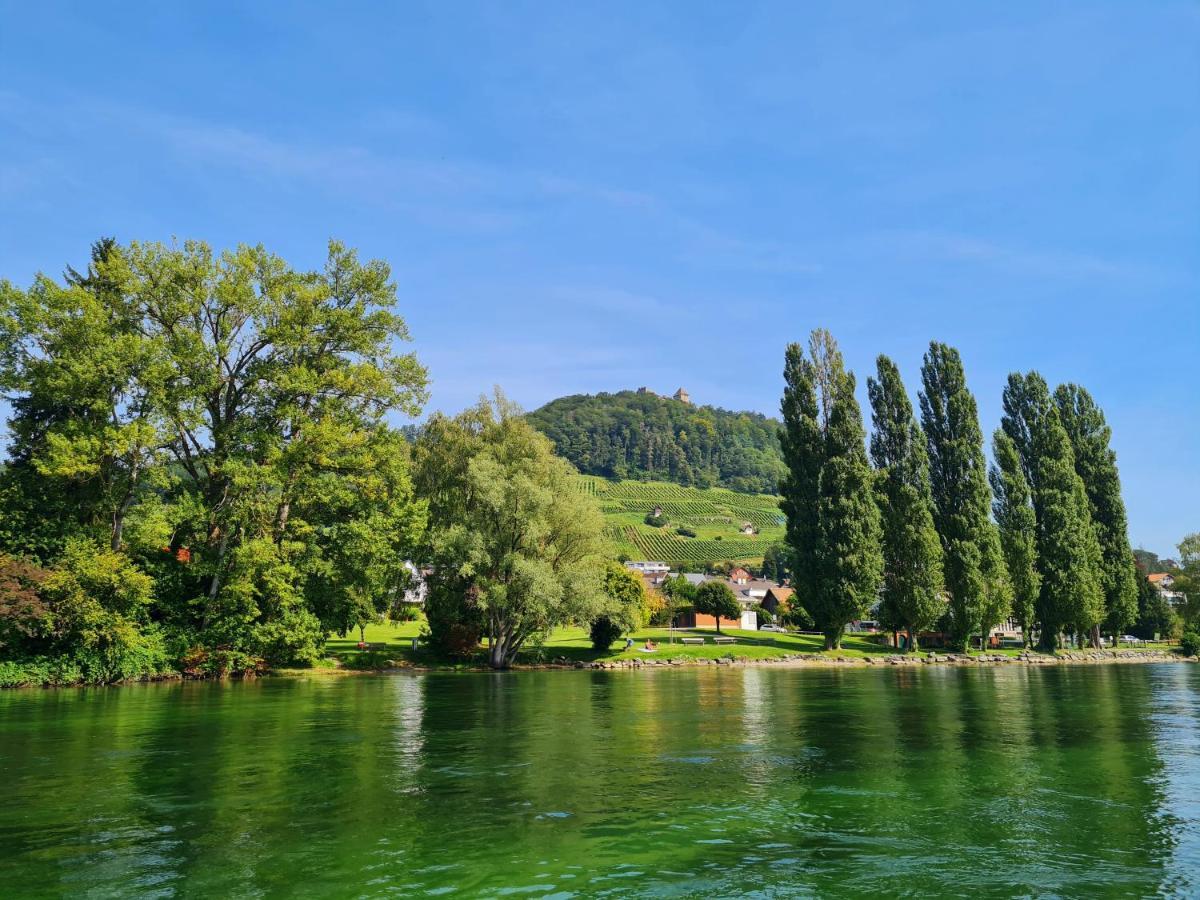 Ferienwohnung Rheinblick In Buesingen -Keine Monteure- Busingen Εξωτερικό φωτογραφία