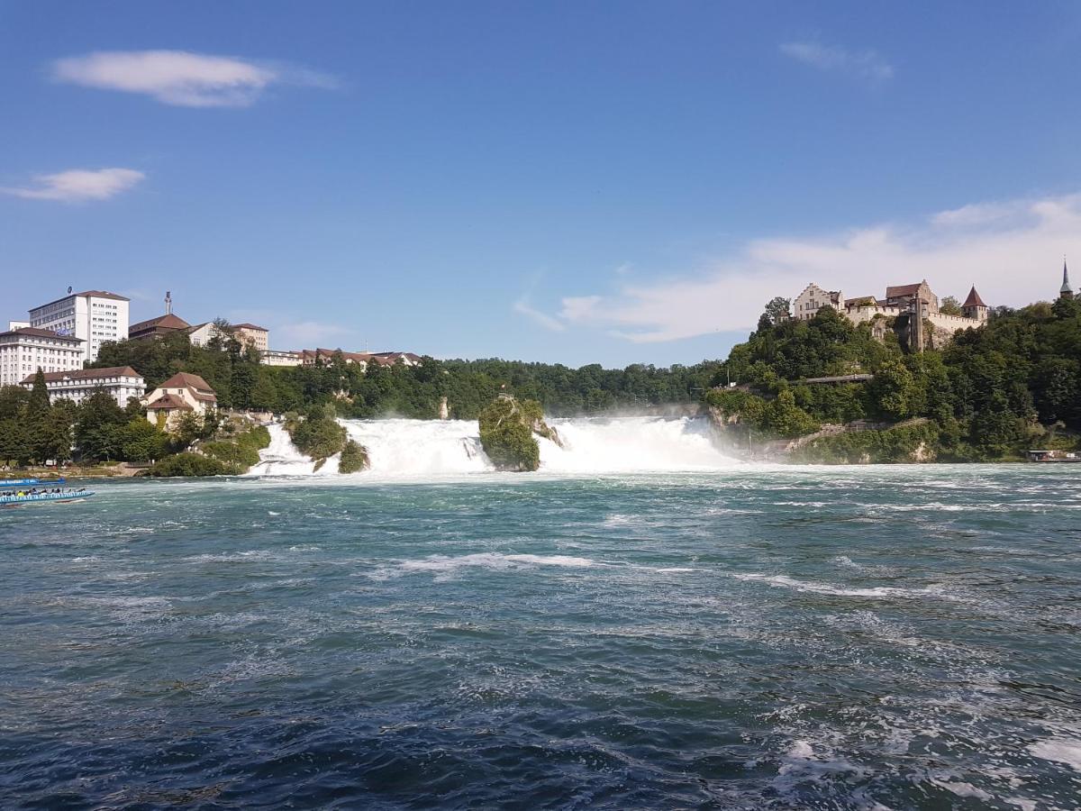 Ferienwohnung Rheinblick In Buesingen -Keine Monteure- Busingen Εξωτερικό φωτογραφία