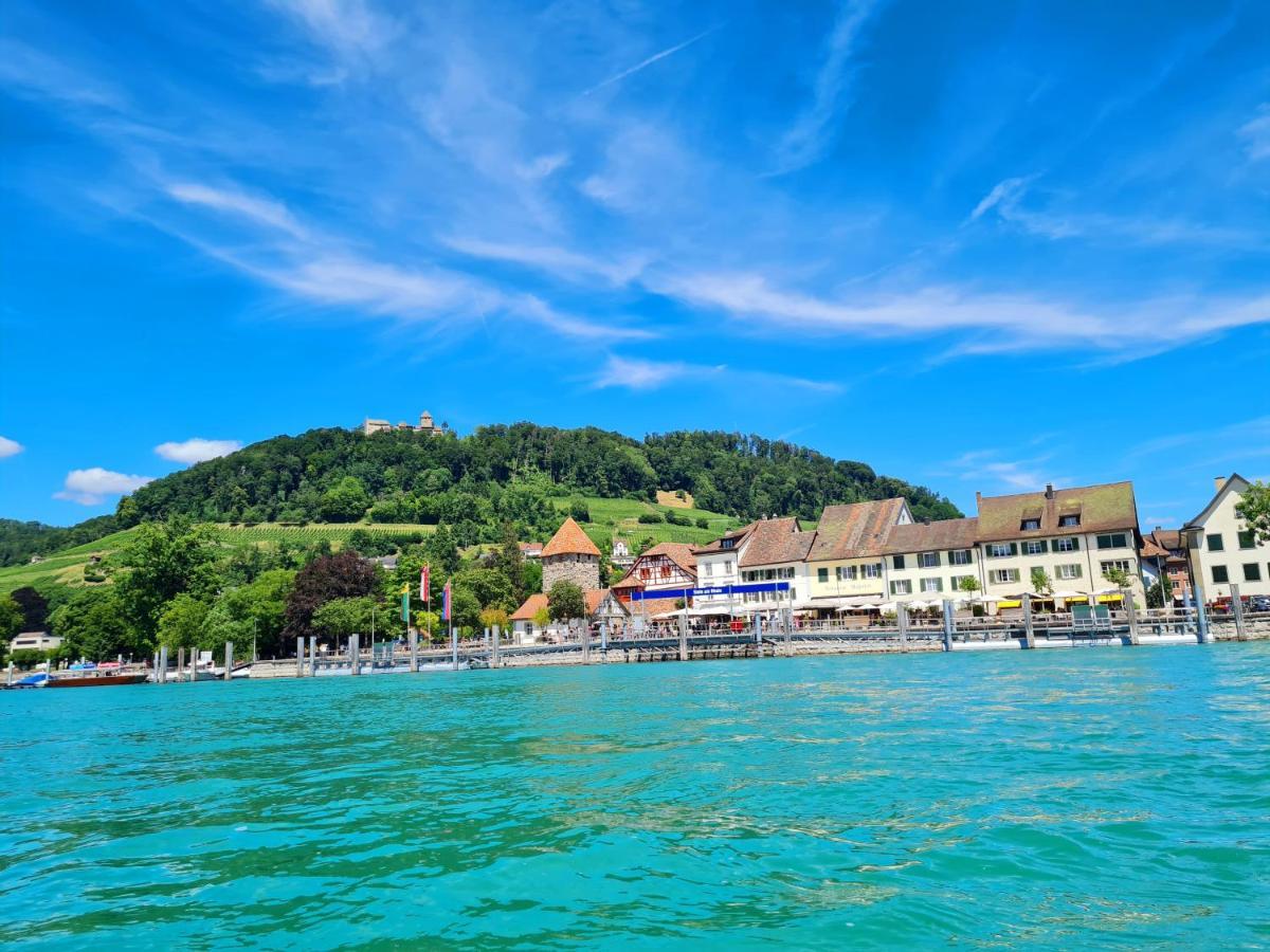 Ferienwohnung Rheinblick In Buesingen -Keine Monteure- Busingen Εξωτερικό φωτογραφία