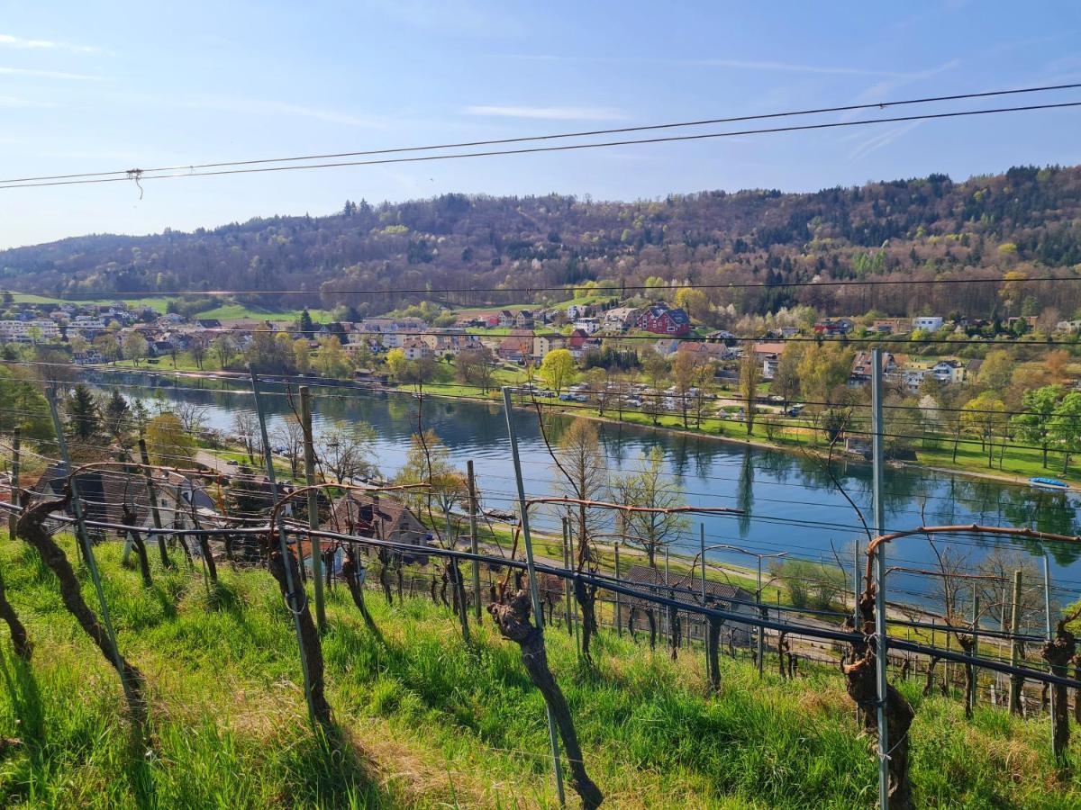 Ferienwohnung Rheinblick In Buesingen -Keine Monteure- Busingen Εξωτερικό φωτογραφία