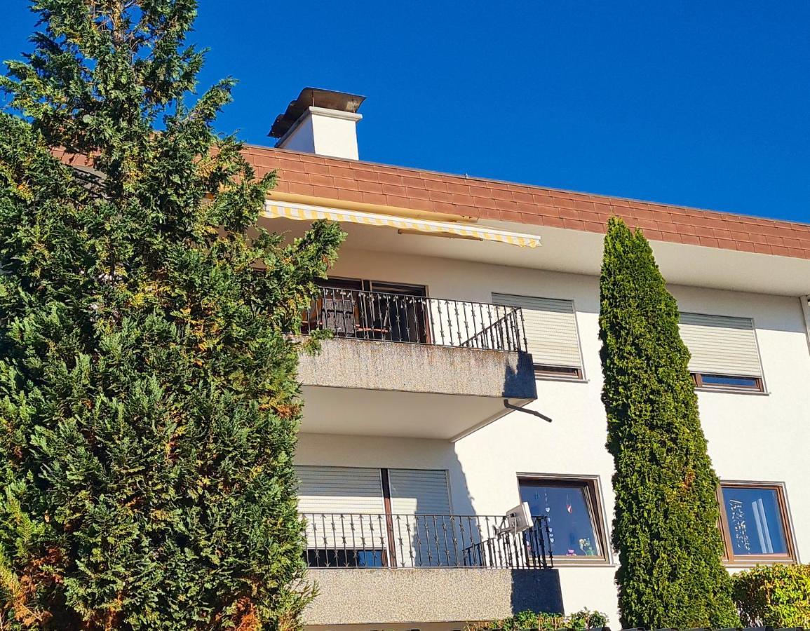 Ferienwohnung Rheinblick In Buesingen -Keine Monteure- Busingen Εξωτερικό φωτογραφία