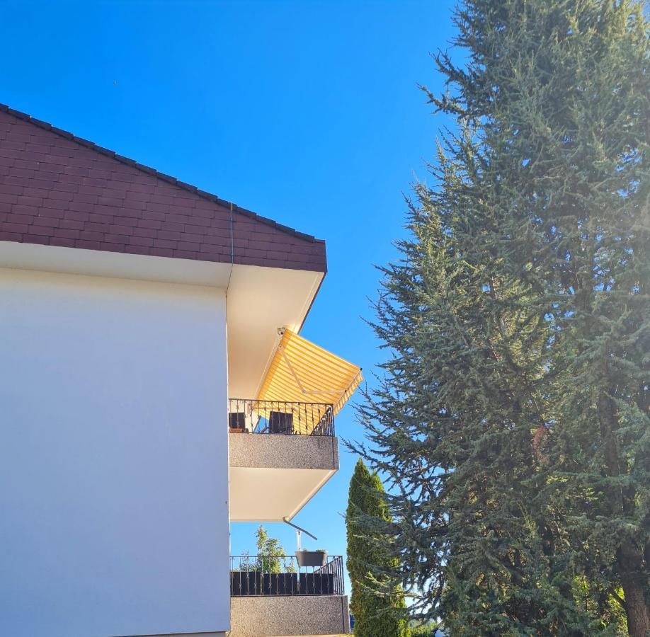 Ferienwohnung Rheinblick In Buesingen -Keine Monteure- Busingen Εξωτερικό φωτογραφία